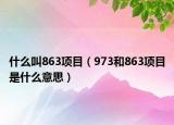 什么叫863項目（973和863項目是什么意思）