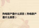 熱電聯(lián)產(chǎn)是什么項(xiàng)目（熱電聯(lián)產(chǎn)是什么意思）