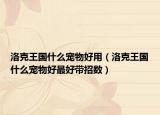 洛克王國什么寵物好用（洛克王國什么寵物好最好帶招數(shù)）