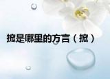 搲是哪里的方言（搲）