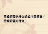 黃喉貂愛(ài)吃什么螞蟻莊園答案（黃喉貂愛(ài)吃什么）