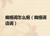 蜘組詞怎么組（蜘組詞語詞）