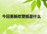 今日更新吹塑紙是什么