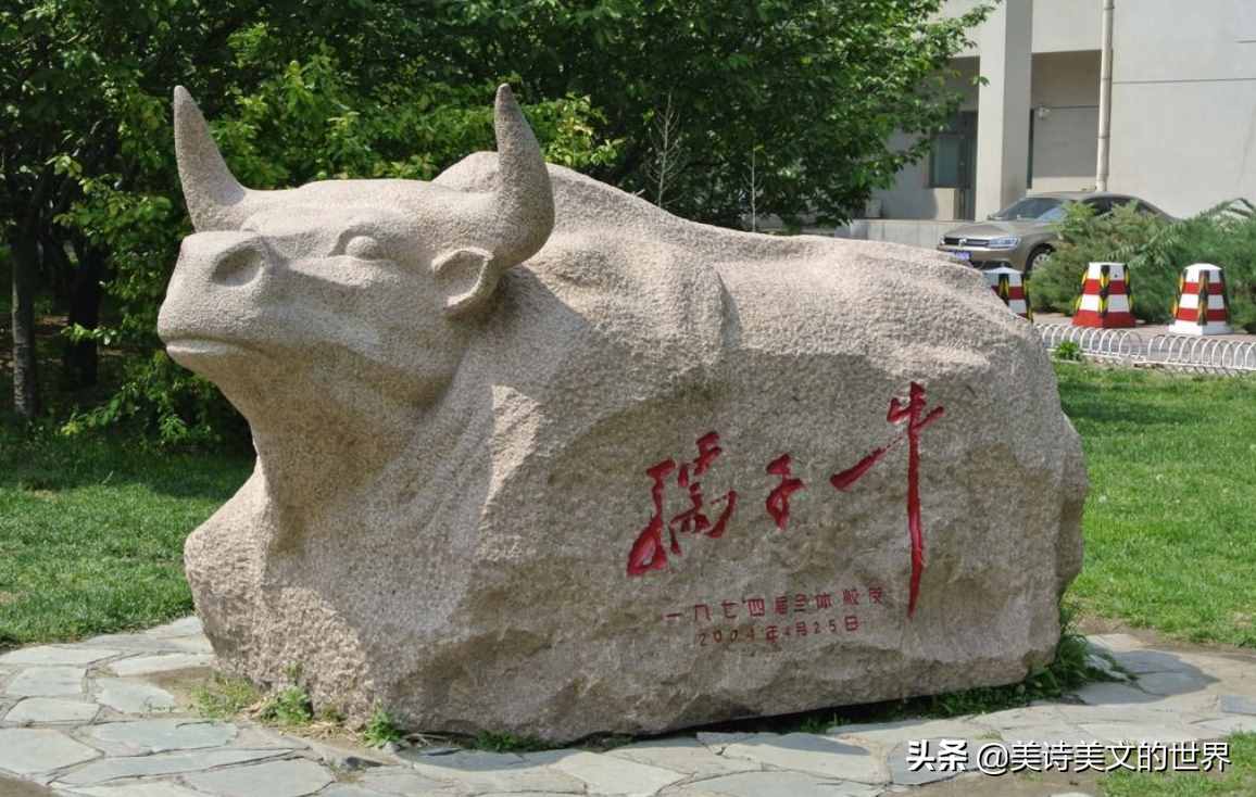 魯迅“橫眉冷對(duì)千夫指，俯首甘為孺子?！钡降缀我?？不少人理解錯(cuò)