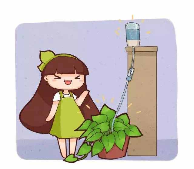 自制自動花卉澆水器，十一去的在再遠都不用擔心花會干！