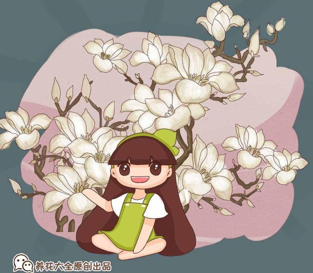 春天常見的40種花，教你從頭認個遍，以后認花再也不求人！