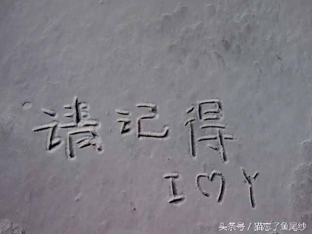 七夕最棒的浪漫求愛寶典（脫單秘籍）