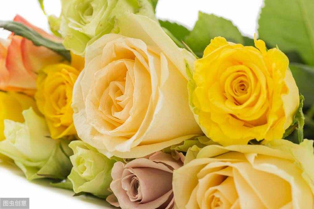 養(yǎng)花知識(shí)：花朵為什么會(huì)散發(fā)香味？