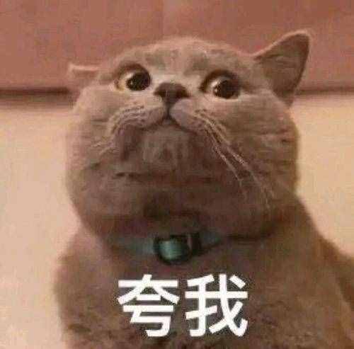微信聊天記錄意外刪除不要慌，教你正確找回聊天記錄