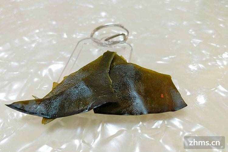 海帶怎樣煮容易爛