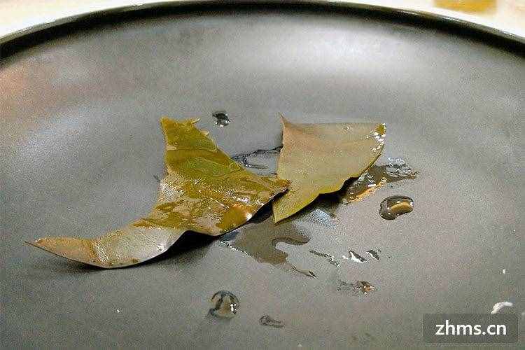 海帶怎樣煮容易爛