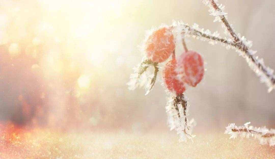 100句雪詩詞，遇見最美冬天