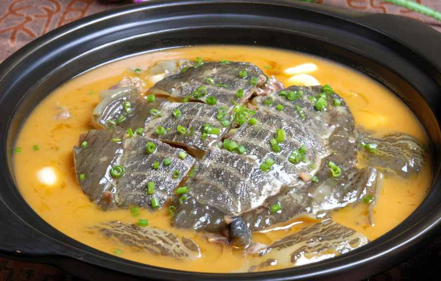 甲魚你真的會(huì)宰殺嗎？直接放血是不對的，先后順序一定不能錯(cuò)