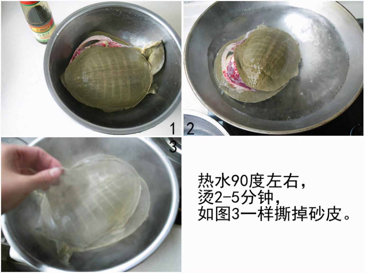 甲魚你真的會(huì)宰殺嗎？直接放血是不對的，先后順序一定不能錯(cuò)