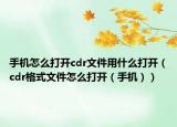 手機(jī)怎么打開cdr文件用什么打開（cdr格式文件怎么打開（手機(jī)））