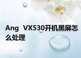Ang  VX530開機(jī)黑屏怎么處理
