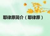 耶律原簡介（耶律原）