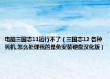 電腦三國志11運(yùn)行不了（三國志12 各種死機(jī),怎么處理我的是免安裝硬盤漢化版）