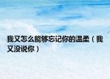 我又怎么能夠忘記你的溫柔（我又沒說你）