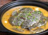 甲魚怎么殺 （甲魚你真的會宰殺嗎）