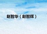 趙智華（趙智輝）