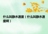 什么叫靜水速度（什么叫靜水速度?。? /></span></a>
                        <h2><a href=
