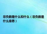 非負數(shù)是什么和什么（非負數(shù)是什么意思）