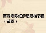 苗霖夸陳虹伊是哪檔節(jié)目（苗霖）