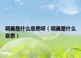 調(diào)羹是什么意思呀（調(diào)羹是什么意思）