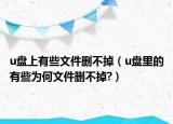 u盤上有些文件刪不掉（u盤里的有些為何文件刪不掉?）