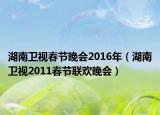 湖南衛(wèi)視春節(jié)晚會(huì)2016年（湖南衛(wèi)視2011春節(jié)聯(lián)歡晚會(huì)）