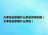 大學生應(yīng)承擔什么責任怎樣承擔（大學生應(yīng)承擔什么責任）