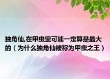 獨(dú)角仙,在甲蟲里可能一定算是最大的（為什么獨(dú)角仙被稱為甲蟲之王）