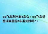 qq飛車剛出有a車么（qq飛車夢(mèng)想成真里的a車圣龍好嗎?）