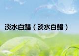淡水白鯧（淡水白鯧）