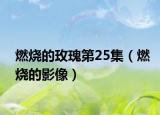 燃燒的玫瑰第25集（燃燒的影像）