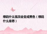 綠碼什么情況會變成黃色（綠碼什么意思）