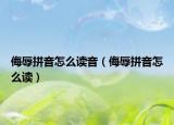 侮辱拼音怎么讀音（侮辱拼音怎么讀）