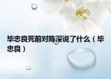 畢忠良死前對(duì)陳深說了什么（畢忠良）
