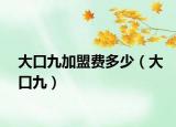 大口九加盟費多少（大口九）