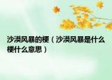 沙漠風(fēng)暴的梗（沙漠風(fēng)暴是什么梗什么意思）