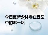 今日更新少林寺在五岳中的哪一岳