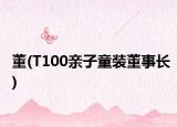 董(T100親子童裝董事長)