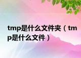 tmp是什么文件夾（tmp是什么文件）