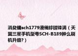 涓夋槦sch1779濡備綍鍒鋒満（天翼三星手機型號SCH-B189腫么刷機升級?）