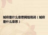 城府是什么意思網(wǎng)絡(luò)用詞（城府是什么意思）