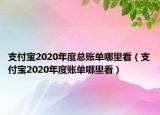 支付寶2020年度總賬單哪里看（支付寶2020年度賬單哪里看）