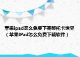 蘋果ipad怎么免費(fèi)下完整托卡世界（蘋果IPad怎么免費(fèi)下載軟件）