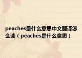 peaches是什么意思中文翻譯怎么讀（peaches是什么意思）