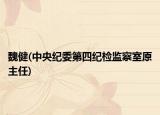 魏健(中央紀(jì)委第四紀(jì)檢監(jiān)察室原主任)